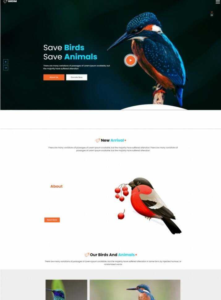 拯救鸟类拯救动物HTML5网站模板 - 淘金派资源网