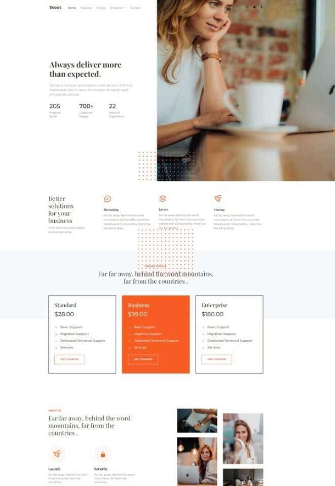 Bootstrap商务咨询服务公司网站HTML模板 - 淘金派资源网
