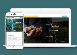 足球运动直播网站响应式模板 - 淘金派资源网