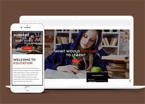 简洁图书馆在线书城网站模板 - 淘金派资源网