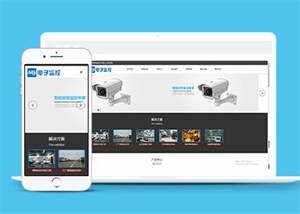 响应式数字防盗类网站前端模板 - 淘金派资源网