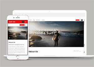 海上冲浪旅游项目网站模板下载 - 淘金派资源网