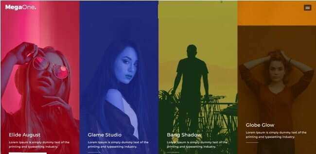 演唱会嘉宾宣传介绍网页模板 - 淘金派资源网