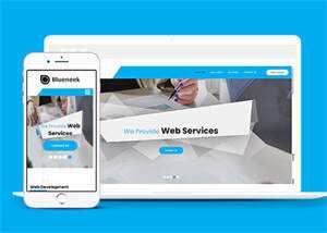 移动应用开发公司网站模板下载 - 淘金派资源网