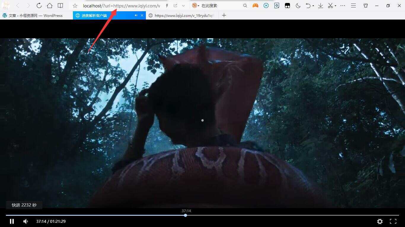 迪奥VIP视频解析客户端PHP源码 - 淘金派资源网