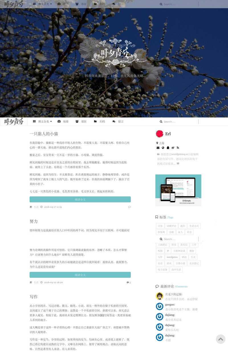 wordpress极简优秀的博客主题–ErlSimpleV1.5主题 - 淘金派资源网