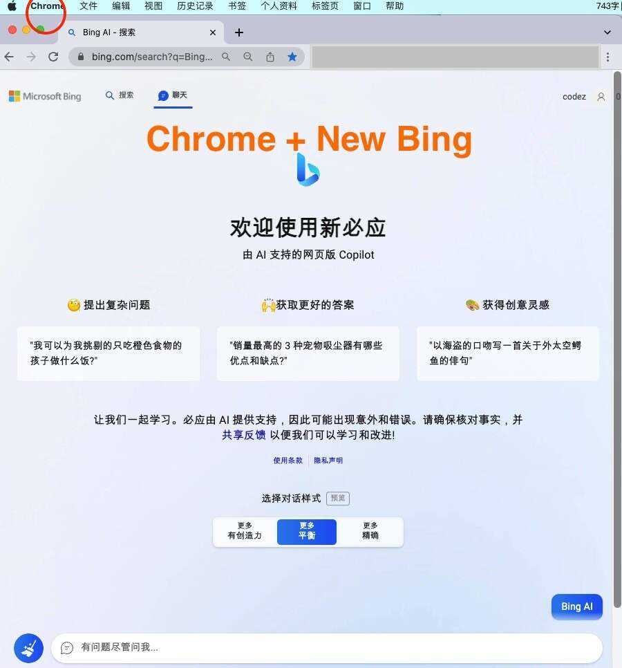 微软New Bing完美聊天机器人源码，支持ChatGPT提示词 国内可用，基本兼容微软 Bing AI 所有功能 - 淘金派资源网