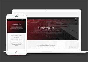 响应式前端框架skin网站模板 - 淘金派资源网