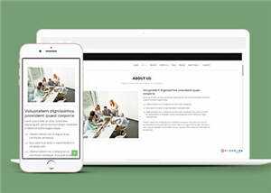 网页设计优化机构响应式网页模板 - 淘金派资源网