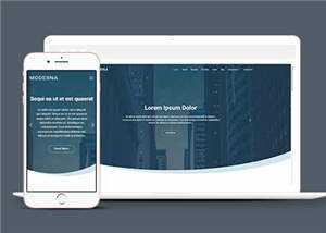 企业业务案例展示响应式网页模板下载 - 淘金派资源网