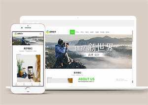 宽屏广告品牌设计类网站模板源码 - 淘金派资源网