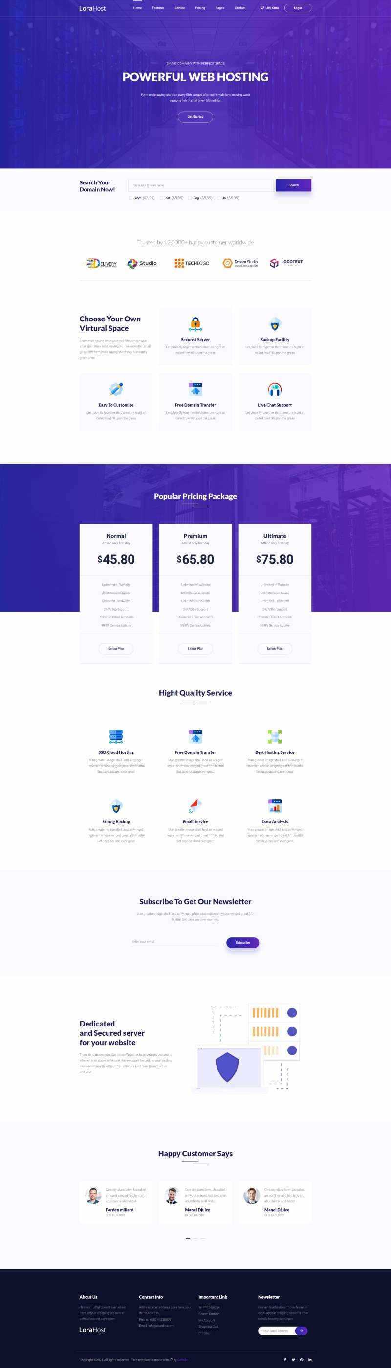 紫色的虚拟主机域名托管服务网站html模板 - 淘金派资源网