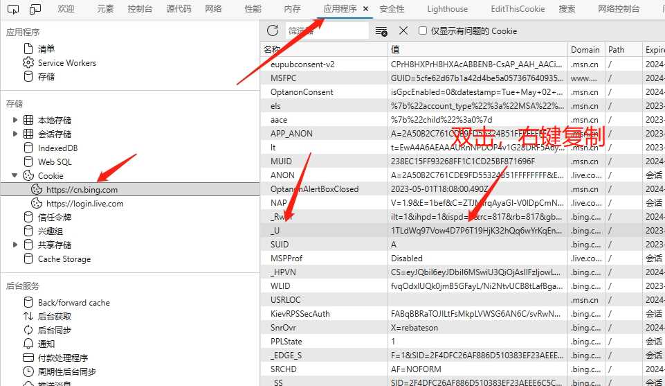 图片[10] - go语言新必应New Bingai聊天机器人 - 淘金派资源网