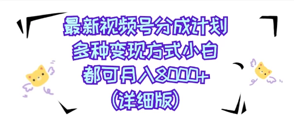 视频号创作者分成计划，多种变现方式，选择适合你领域赛道，小白轻松月入8000+（详细版） - 淘金派资源网