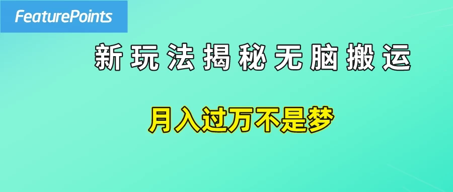 简单操作，每天50美元收入，搬运就是赚钱的秘诀！ - 淘金派资源网