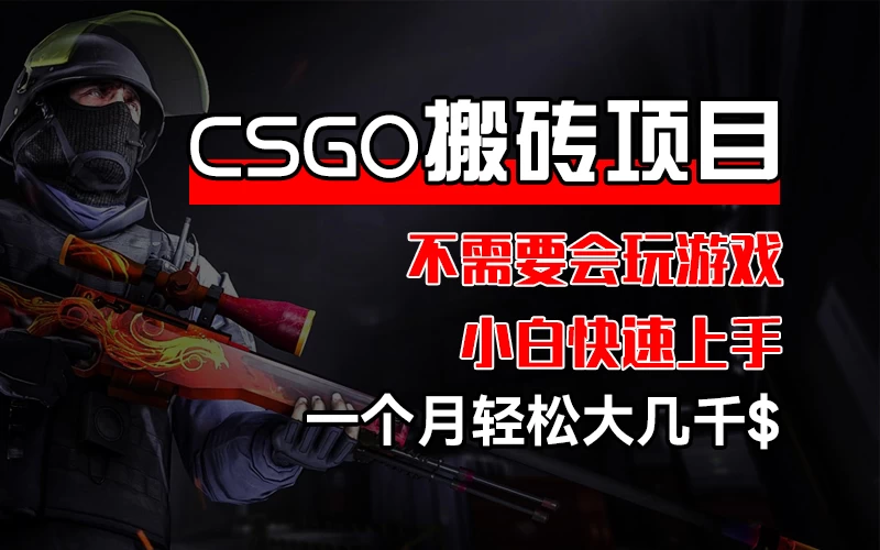 CSGO 装备搬砖项目，操作简单，不需要会玩游戏，小白也能快速上手，一个月轻松大几千 - 淘金派资源网