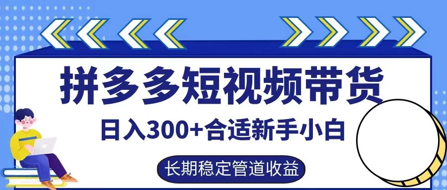 拼多多短视频带货日入300+保姆级实操账户展示 - 淘金派资源网