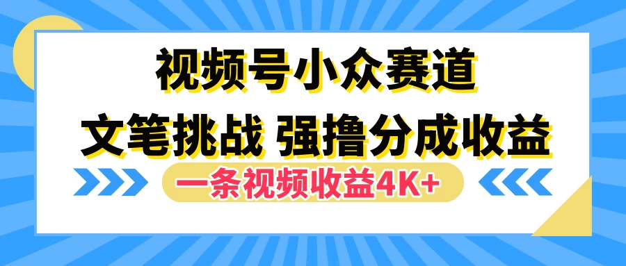 视频号小众赛道，文笔挑战，一条视频收益4K+ - 淘金派资源网