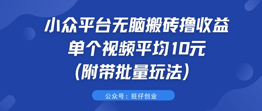 小众平台无脑搬砖撸收益，单个视频平均10元 (附带批量玩法） - 淘金派资源网