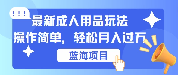 最新成人用品项目玩法，操作简单，蓝海项目轻松月入过万 - 淘金派资源网