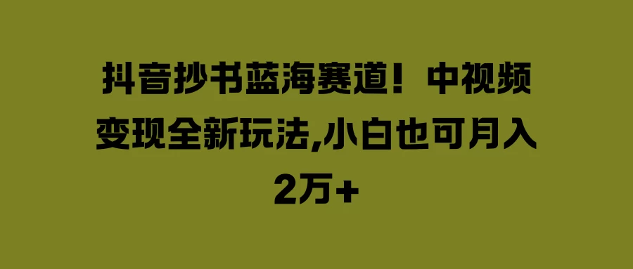 抖音抄书蓝海赛道!中视频变现全新玩法,小白也可月入2万+ - 淘金派资源网