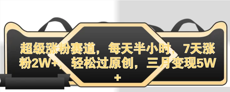 超级涨粉赛道，每天半小时，7天涨粉2W+，轻松过原创，三月变现5W+ - 淘金派资源网