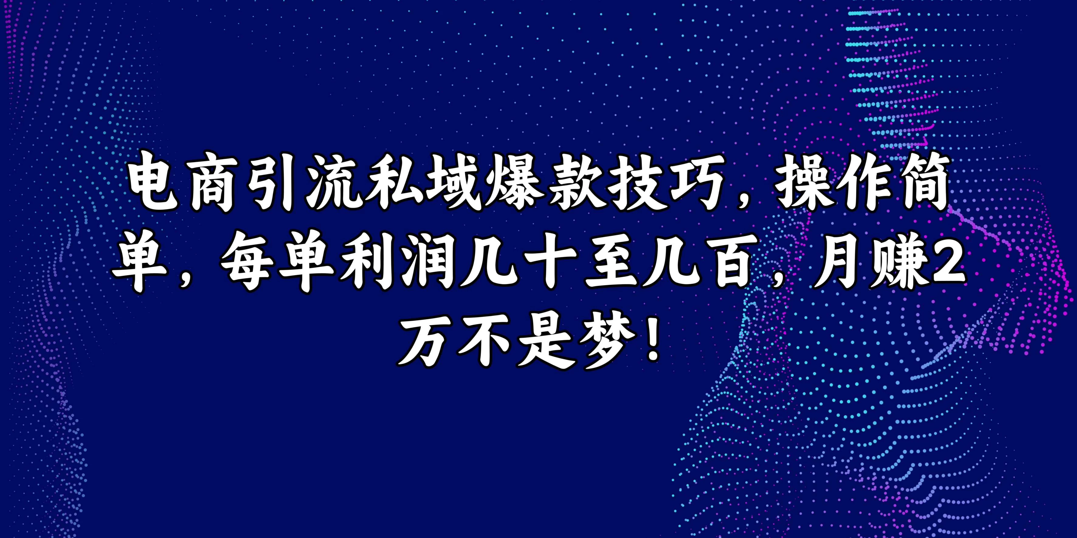 电商引流私域爆款技巧，操作简单，每单利润几十至几百，月赚2万不是梦！ - 淘金派资源网
