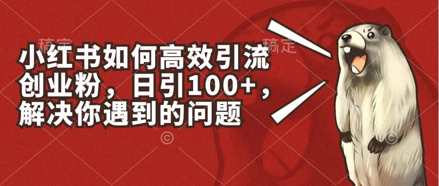 小红书如何高效引流创业粉，日引100+，解决你遇到的问题 - 淘金派资源网