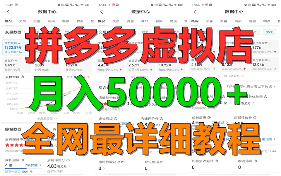 拼多多虚拟电商月入50000+你干你也行，暴利稳定长久，副业首选 - 淘金派资源网