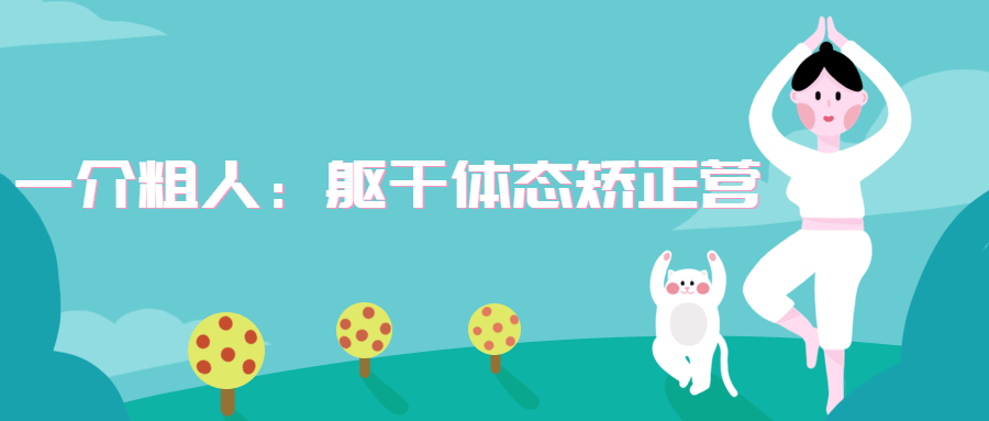 一介粗人：躯干体态矫正营 - 淘金派资源网