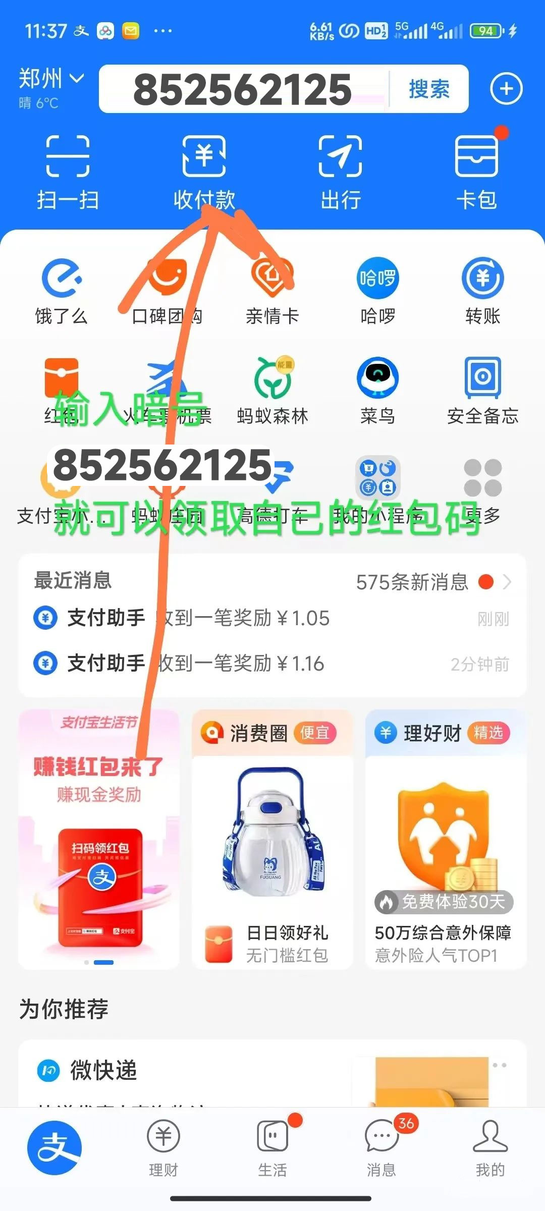 图片[12] - 支付宝红包怎么玩，支付宝领红包，赚领现金奖励 - 淘金派资源网