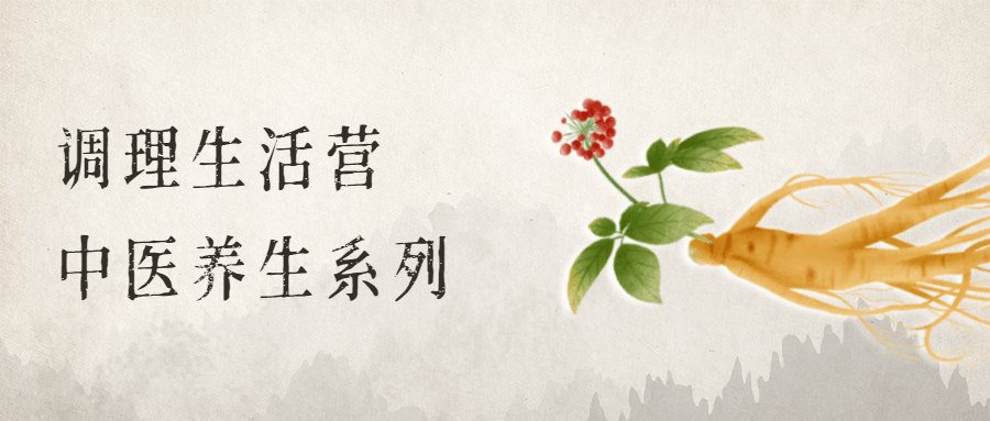 调理生活营：中医养生系列 - 淘金派资源网
