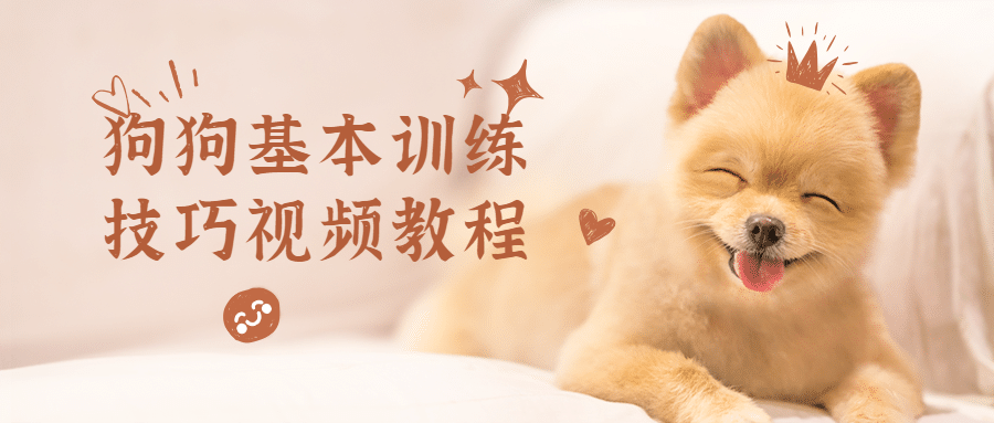狗狗基本训练技巧视频教程 - 淘金派资源网