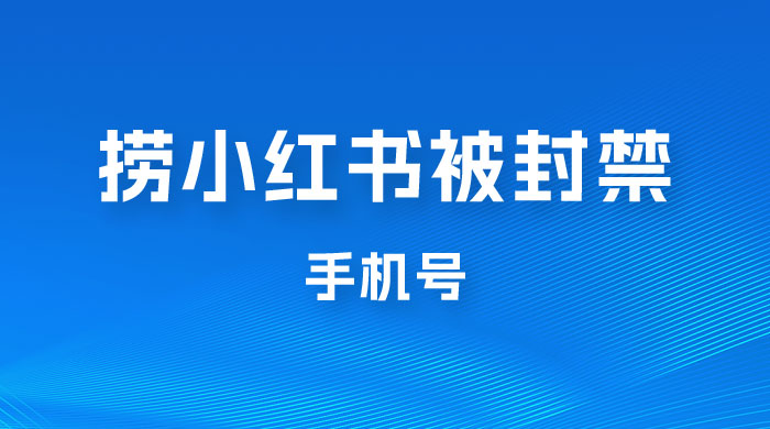 捞小红书被封禁手机号，小红书被封号禁言账号手机换绑 - 淘金派资源网