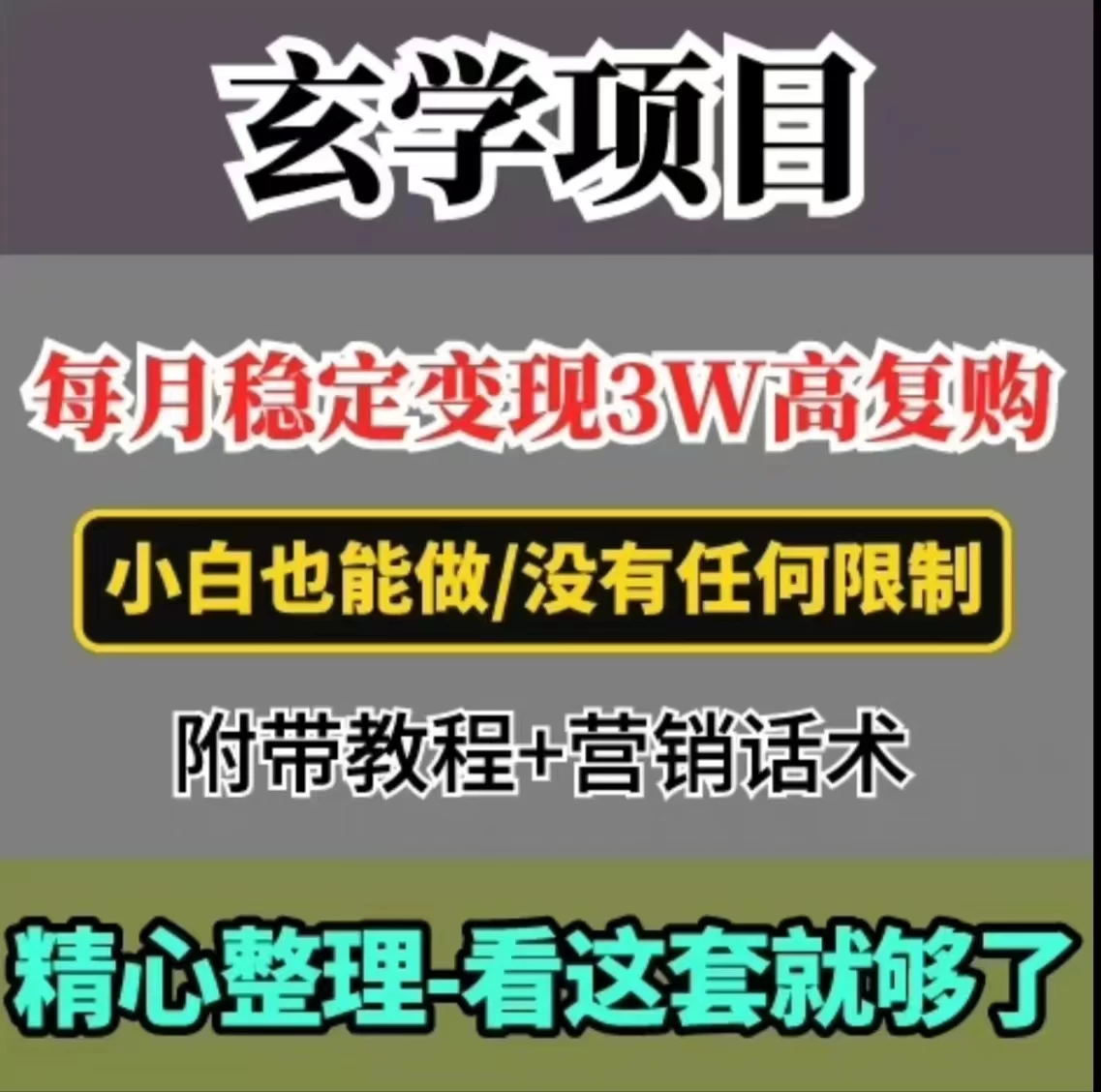 每月稳定变现3W+，高复购玄学项目，小白也能做 - 淘金派资源网