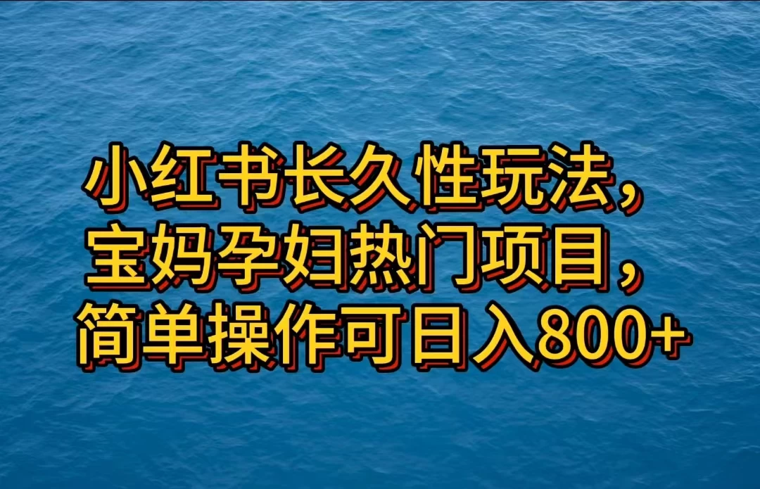 小红书长久性玩法，宝妈孕妇热门项目，简单操作可日入800+ - 淘金派资源网