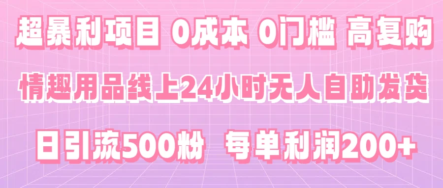 超暴利项目，情趣用品线上24小时-无人自助发货，0成本，0门槛，高复购，有手就能做，日引500粉，每单利润200+ - 淘金派资源网