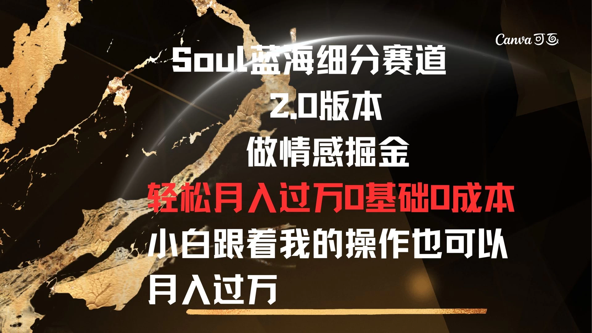 Soul蓝海细分赛道，2.0版本，做情感掘金，轻松月入过万，0基础，0成本，小白跟着我的操作也可以月入过万 - 淘金派资源网