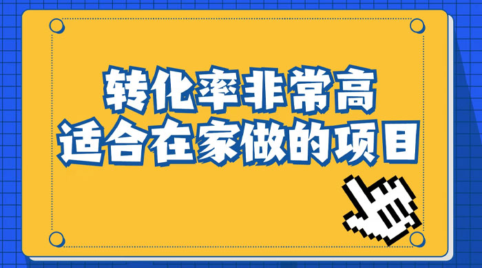 小红书虚拟电商项目:从小白到精英(视频课程+交付手册) - 淘金派资源网