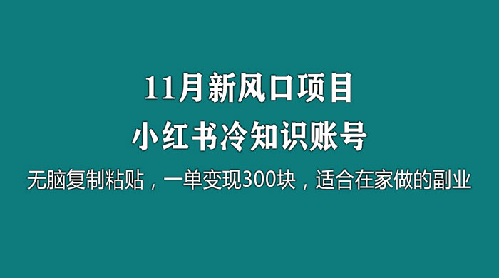 11 月新风口项目，小红书冷知识账号，无脑复制粘贴，一单变现 300 块，适合在家做的副业 - 淘金派资源网