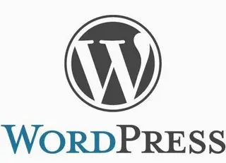 WordPress v6.0.2 中文正式版发布及优化代码 - 淘金派资源网