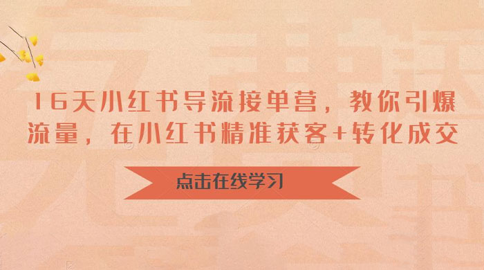 16 天小红书导流接单营：教你引爆流量，在小红书精准获客+转化成交 - 淘金派资源网