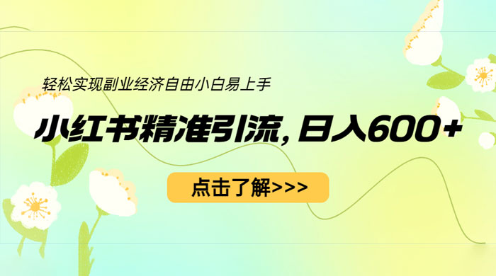 小红书精准引流：轻松实现副业经济自由（教程 + 1153G 资源） - 淘金派资源网