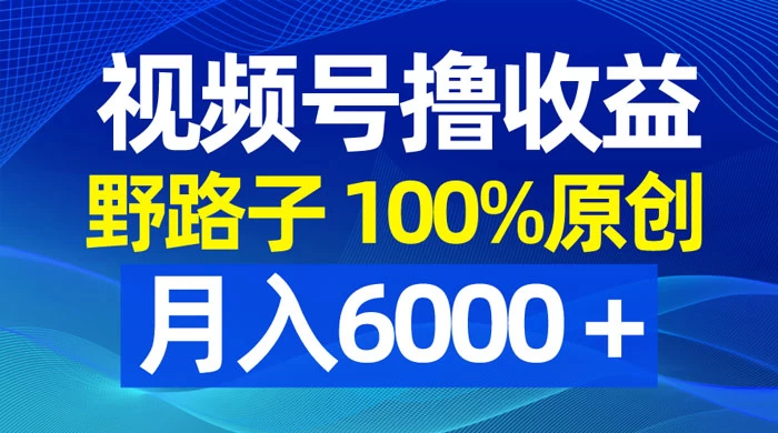视频号野路子撸收益，100% 原创，条条爆款，月入 6000+ - 淘金派资源网
