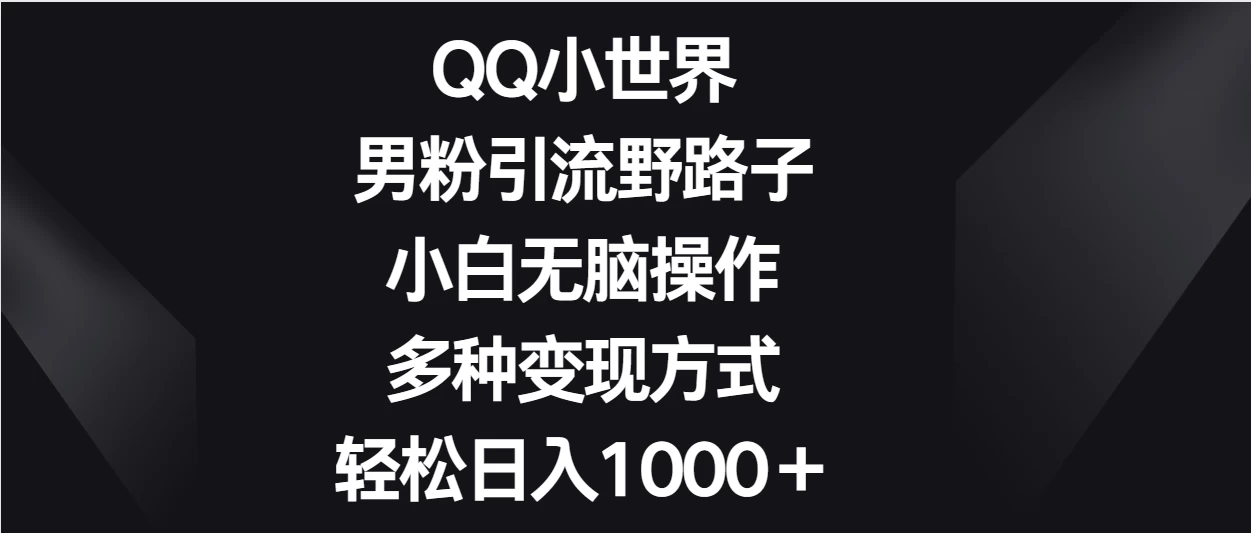QQ小世界男粉引流野路子，小白无脑操作，多种变现方式轻松日入1000＋ - 淘金派资源网