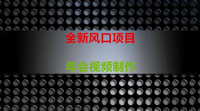 年会视频制作项目，全新风口 - 淘金派资源网