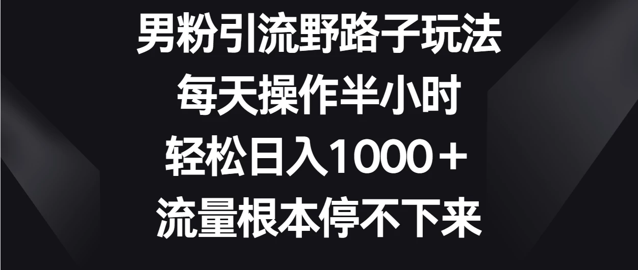 男粉引流野路子玩法,每天操作半小时轻松日入1000+,流量根本停不下来 - 淘金派资源网