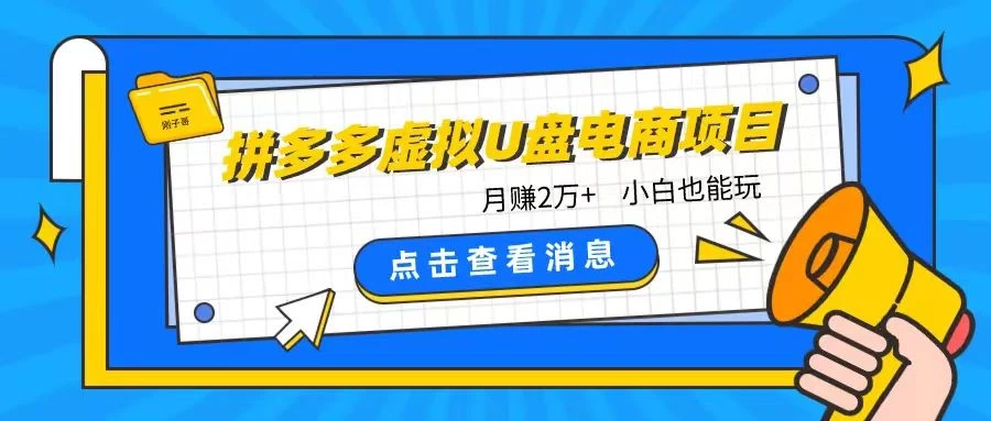 拼多多虚拟U盘电商红利项目：月赚2万+，新手小白也能玩 - 淘金派资源网