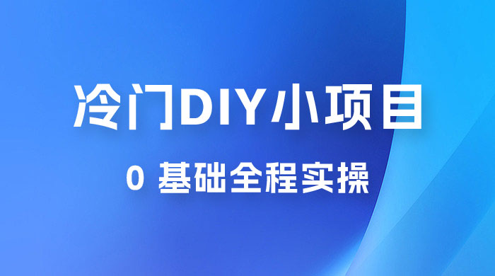 日入几百的冷门 DIY 小项目 0 基础全程实操 - 淘金派资源网