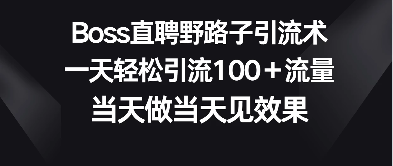 Boss直聘野路子引流术，一天轻松引流100+流量，当天做当天见效果 - 淘金派资源网